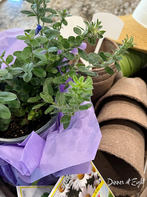 Wonderful Wednesday Blog Hop. Share NOW. #wwbh #wwbloghop #wonderfulwednesdaybloghop #eclecticredbarn